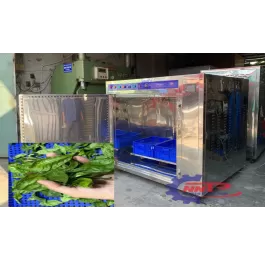 Máy sấy vi sóng chè xanh 