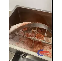 Máy trộn nằm ngang 500kg