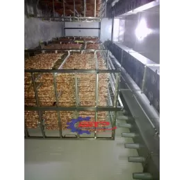 HỆ THỐNG SẤY BƠM NHIỆT CÔNG NGHIỆP