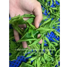 Máy sấy vi sóng chè xanh 