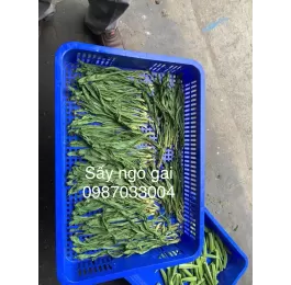 Máy sấy vi sóng 9KW