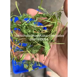 Máy sấy dược liệu