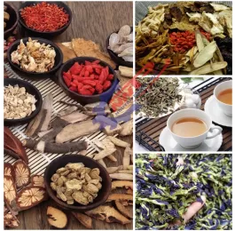 Máy sấy vi sóng 12KW