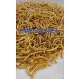 Máy sấy vi sóng 6KW