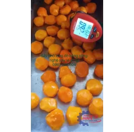 Máy sấy vi sóng 6KW