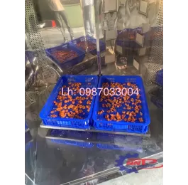 Máy sấy vi sóng 3Kw