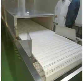 Máy sấy vi sóng băng tải cao tần
