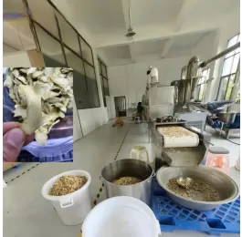 Máy sấy vi sóng băng tải cao tần