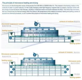 Máy sấy vi sóng băng tải cao tần