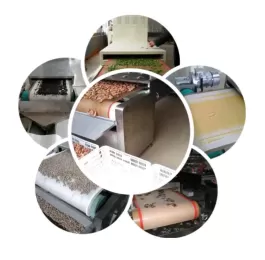 Máy sấy vi sóng băng tải cao tần