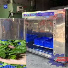 Máy sấy vi sóng chè xanh 