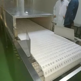 Máy sấy vi sóng băng tải cao tần