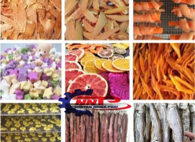 Nguyên Lý Hoạt Động Của Máy Sấy Thăng Hoa