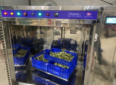 Các Loại Máy Sấy Trà Hiện Nay – Xu Hướng Công Nghệ Và Giải Pháp Tối Ưu Với Máy Sấy Trà Công Nghệ Mới