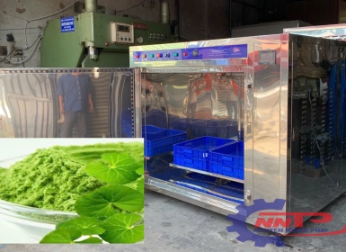 Sấy rau má bằng công nghệ vi sóng - Nhanh chỉ vài chục phút/mẻ - Tiết kiệm- Giữ trọn màu xanh và dưỡng chất
