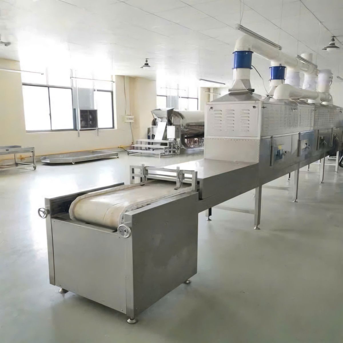 máy sấy vi sóng băng tải