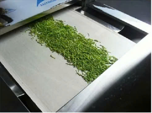 máy sấy vi sóng băng tải