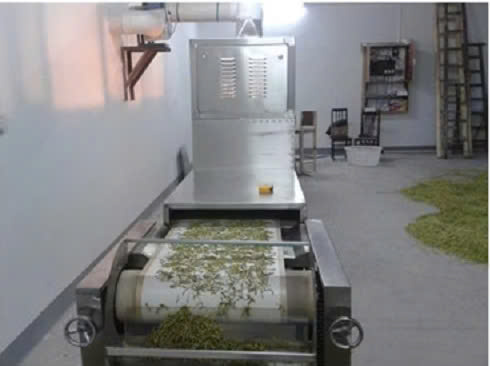 máy sấy vi sóng băng tải