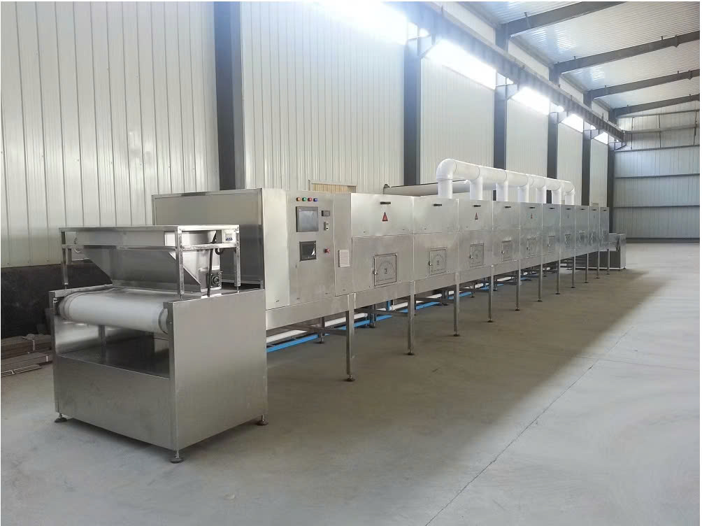 máy sấy vi sóng băng tải