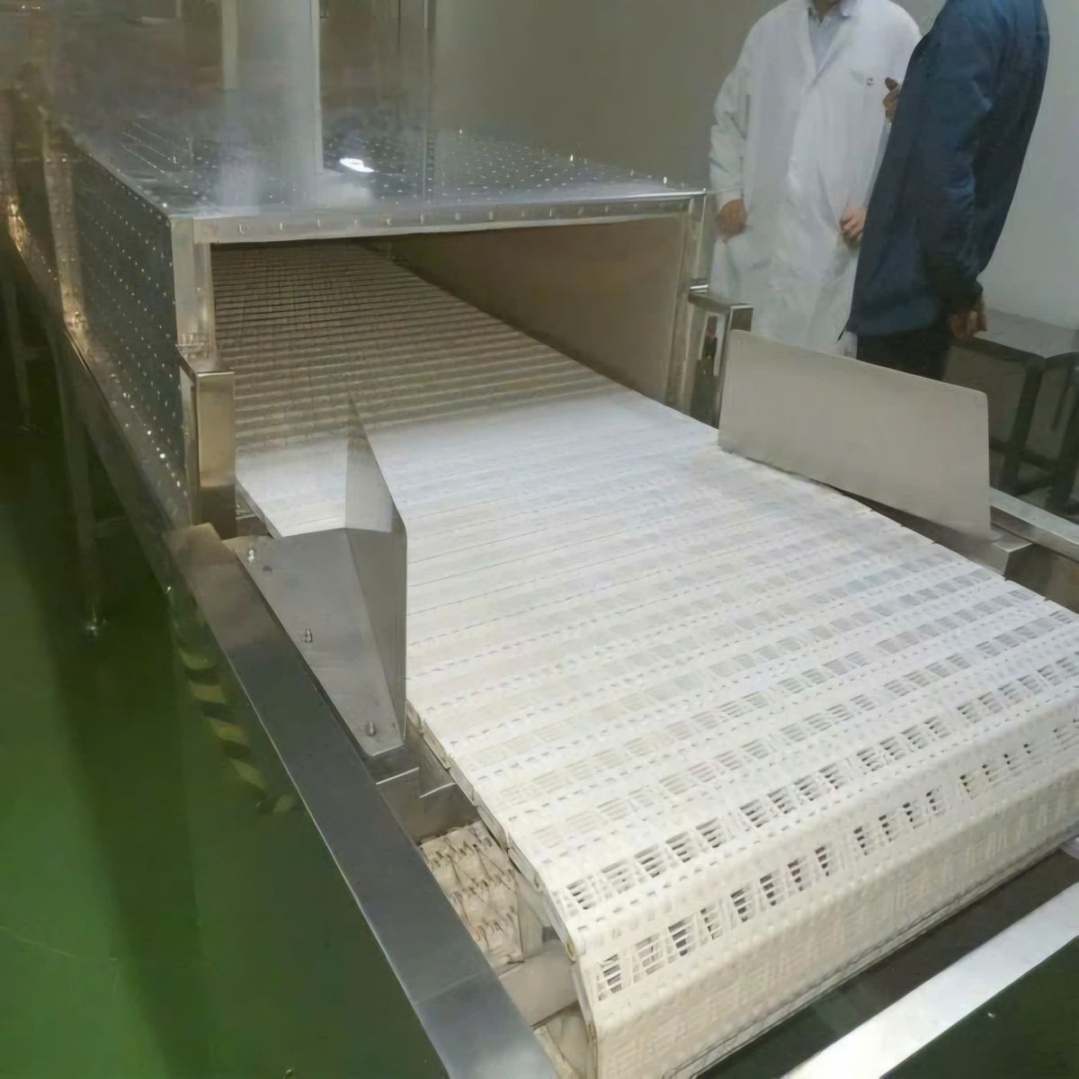 máy sấy vi sóng băng tải