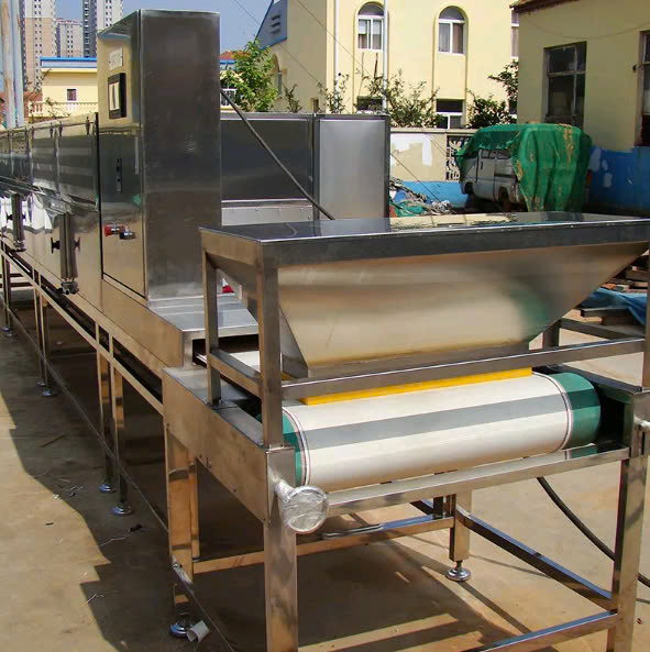 máy sấy vi sóng băng tải