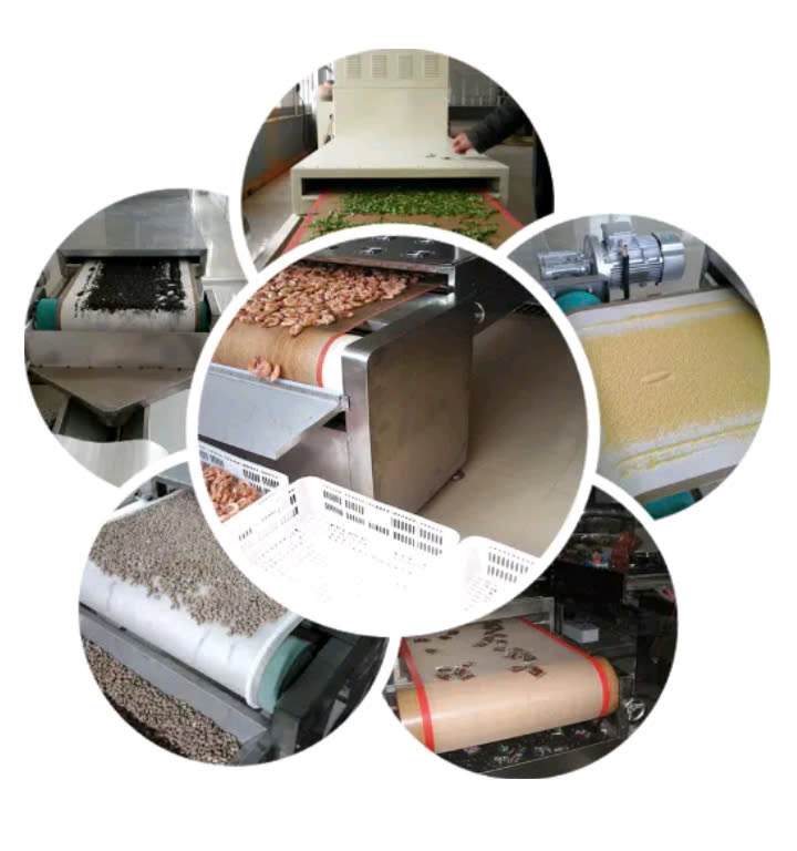 máy sấy vi sóng băng tải