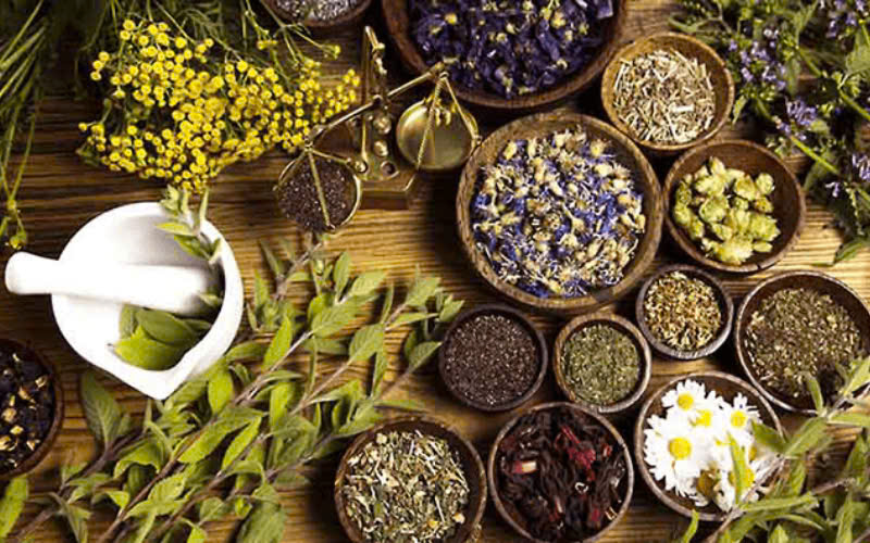 Máy sấy thảo dược nhanh