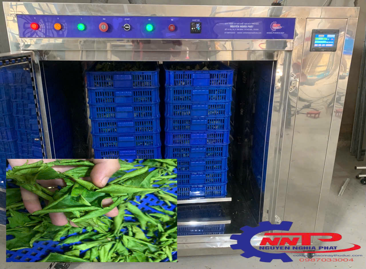 máy sấy lá chanh vi sóng