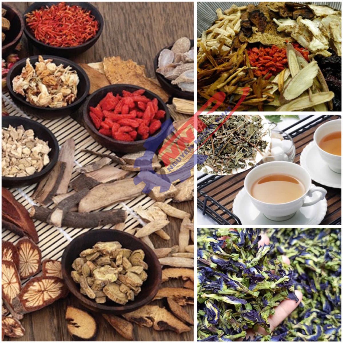 Máy sấy dược liệu