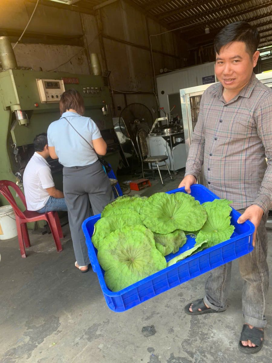 Máy sấy dược liệu