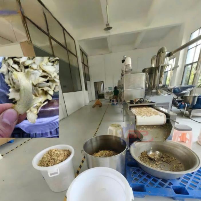 máy sấy nông sản